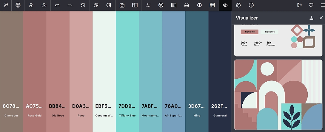 visualizer