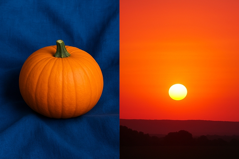 Should You Use Complementary Or Analogous Colors