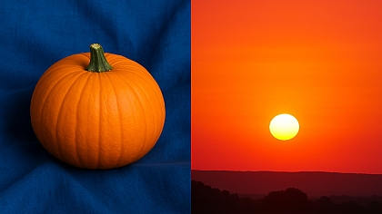 Complementary vs. Analogous Colors: Which Should You Use?