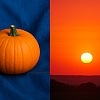 Complementary vs. Analogous Colors: Which Should You Use?