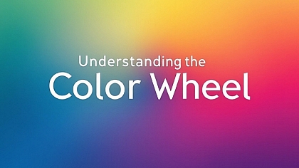 Understanding the Color Wheel: Basics for Designers & Artists