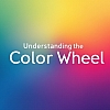Understanding the Color Wheel: Basics for Designers & Artists