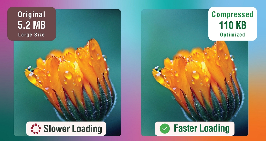 Image Compressor Image Compressor